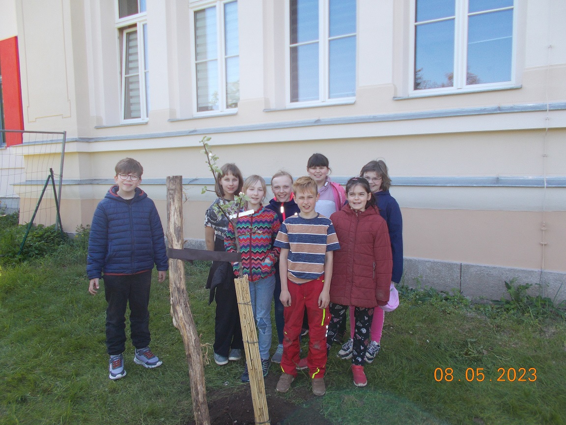 Apfelbaumaktion-Horkenkids